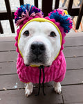 Lux Fleece Dog Sweater with Pompom Snood