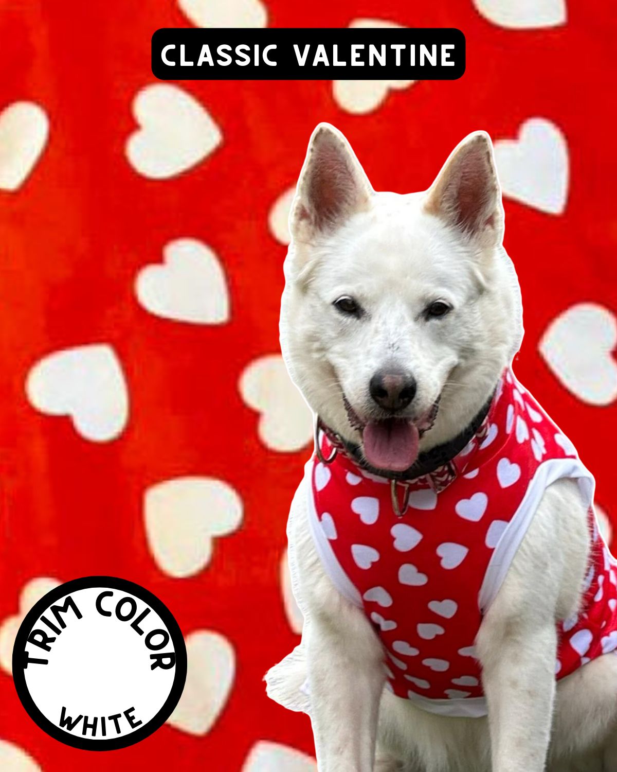 Classic Valentine Dog Pajama with White Neck & Trim/Sleeves