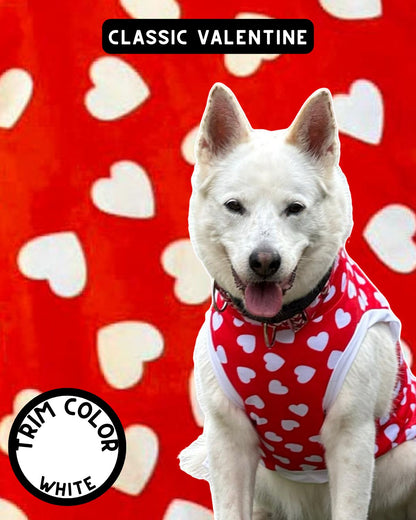 Classic Valentine Dog Pajama with White Neck & Trim/Sleeves