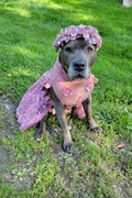 Elegant & delicate Dog Tutu Dress