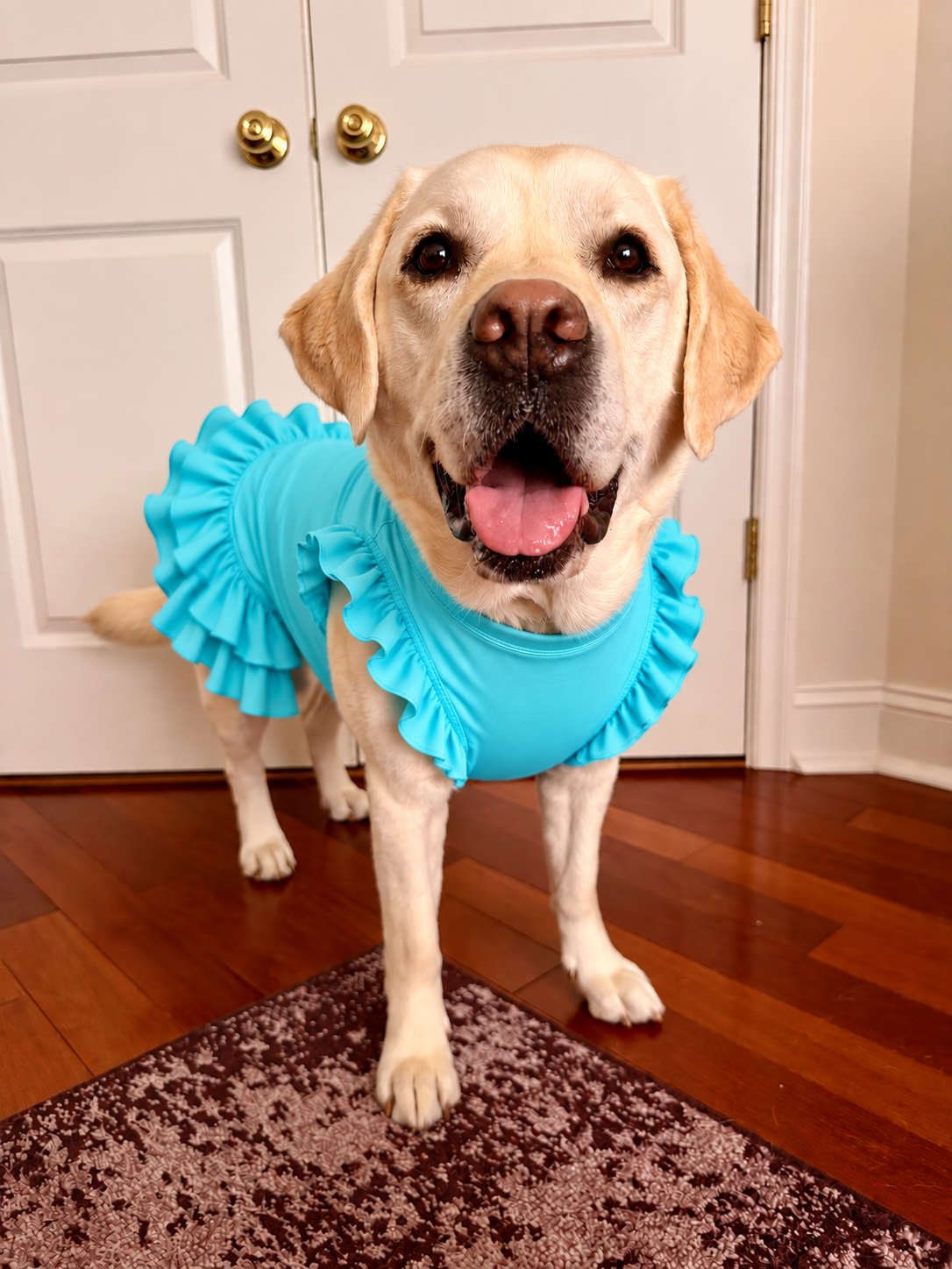 Everyday Solids Dog Dress With Ruffle / With Sleeves or Sleeveless (Available in any pattern)