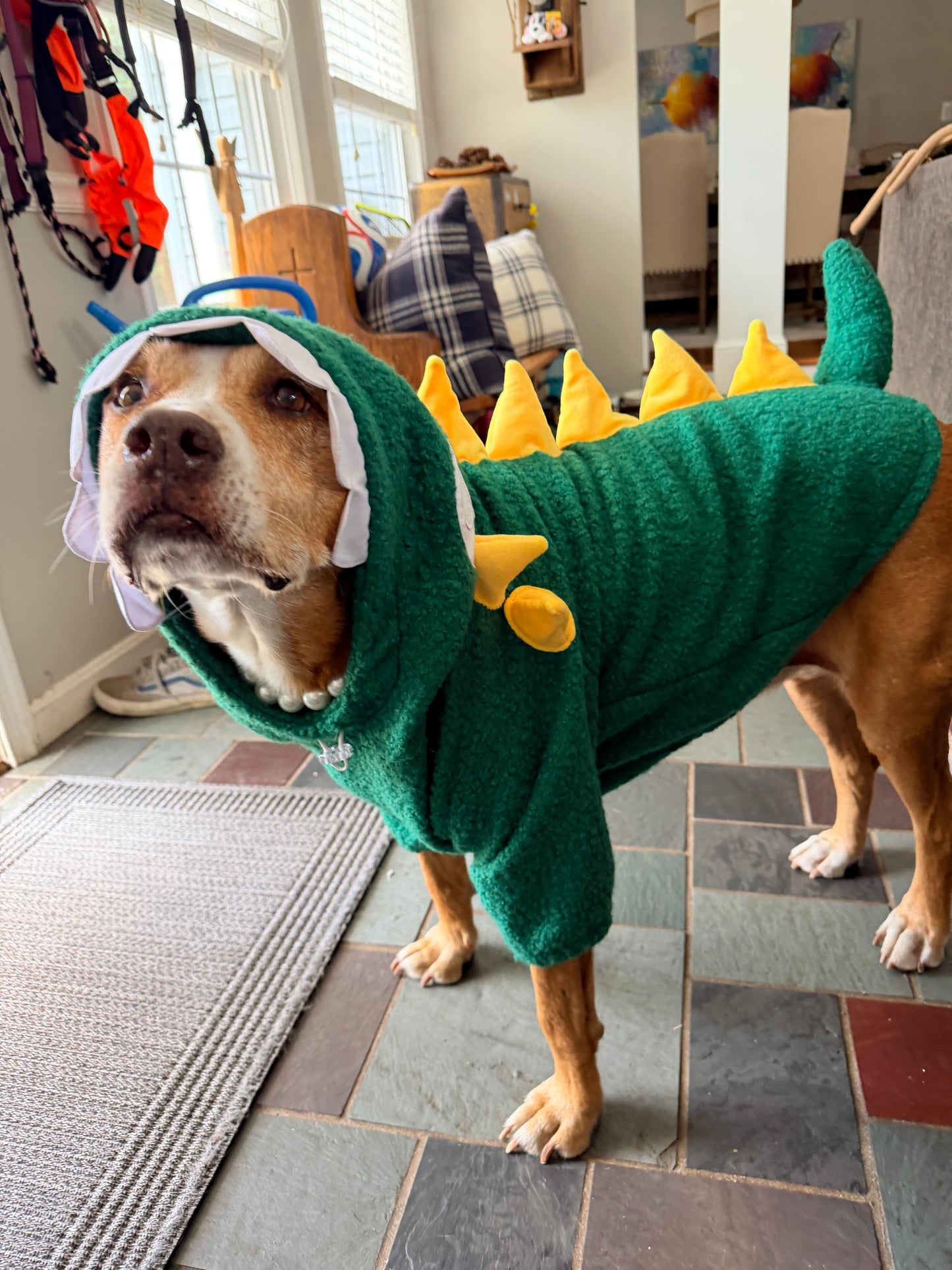 Snappy Dino Rex Dog Hoodie