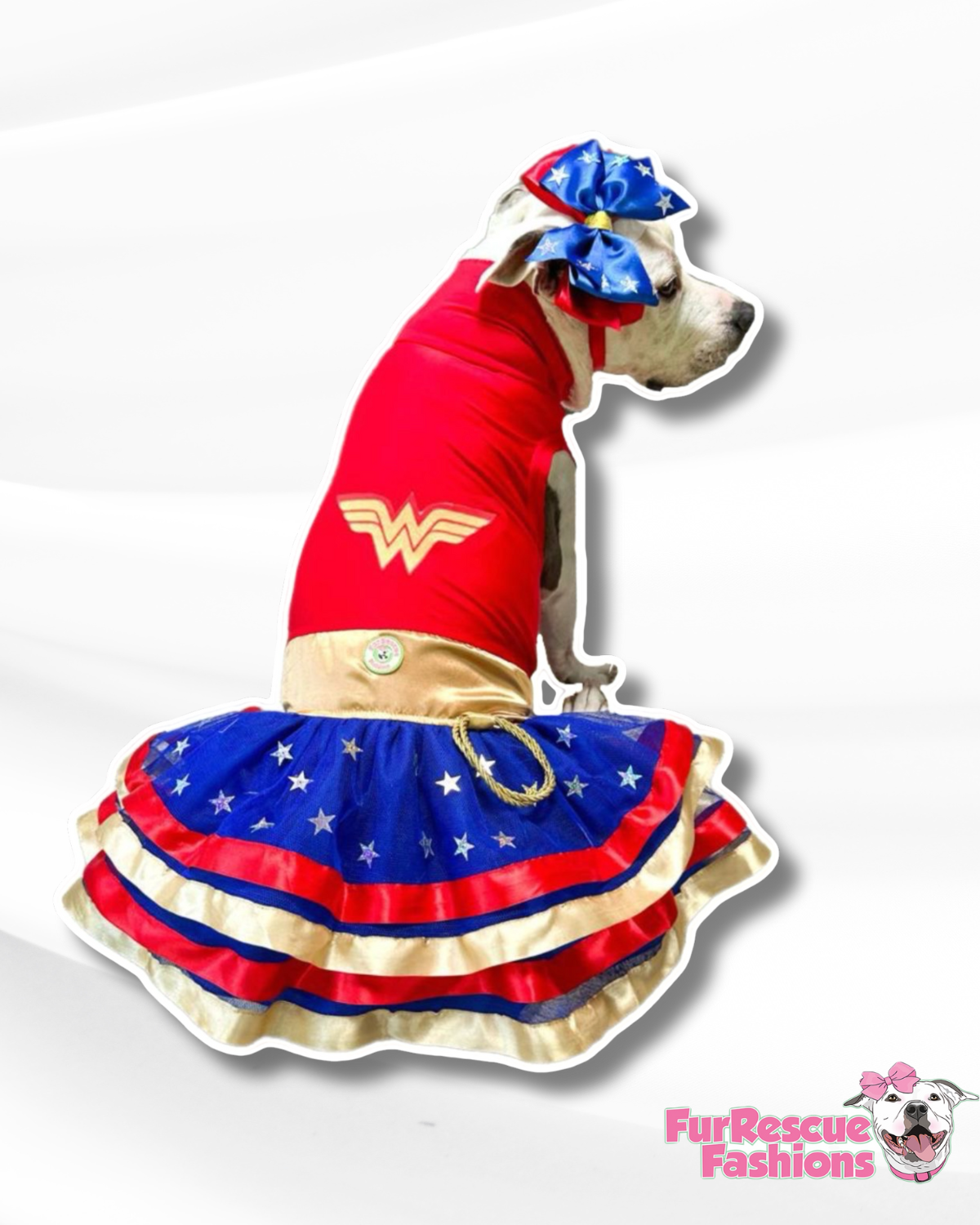 Wonder Woman Dress & Bow