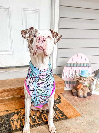 Cielo’s Legacy - Aqua Pajama with Fuchsia Neck & Trim/Sleeves