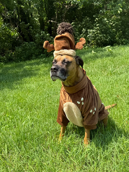 Woodland Reindeer Dog Shirt