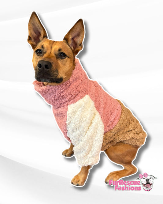 Color Block Sherpa Dog Pullover (With Pink & Baby Blue)