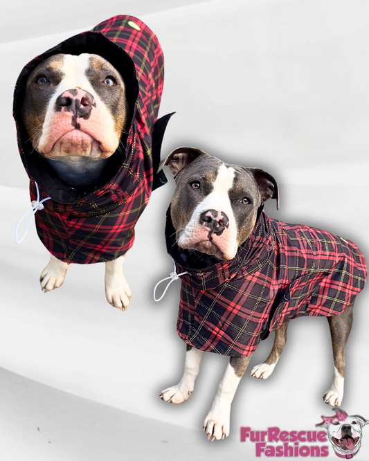 Scottish Plaid  Rain Jacket - Cape - Vest
