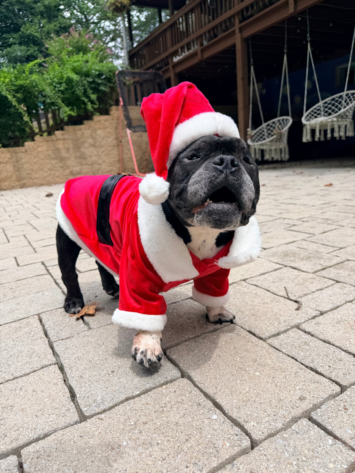 Classic Santa Dog Coat