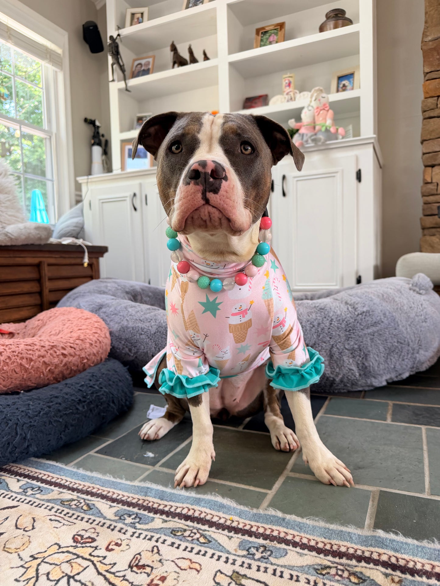 Sweet Scoops of Christmas - Dog Pajama with Mint Green Neck & Trim/Sleeves