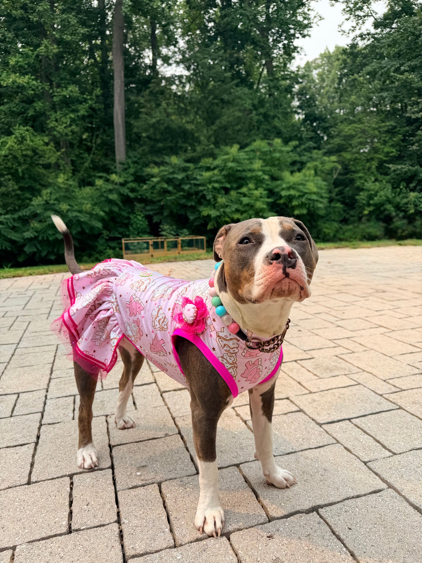 Sugar Cookies Christmas - Dog Pajama with Pink Neck & Trim/Sleeves