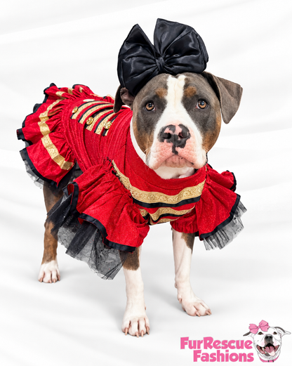 Nutcracker Princess Couture Dog Dress