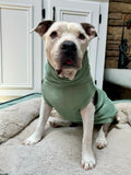 Sage Ribbed Dog Shirt