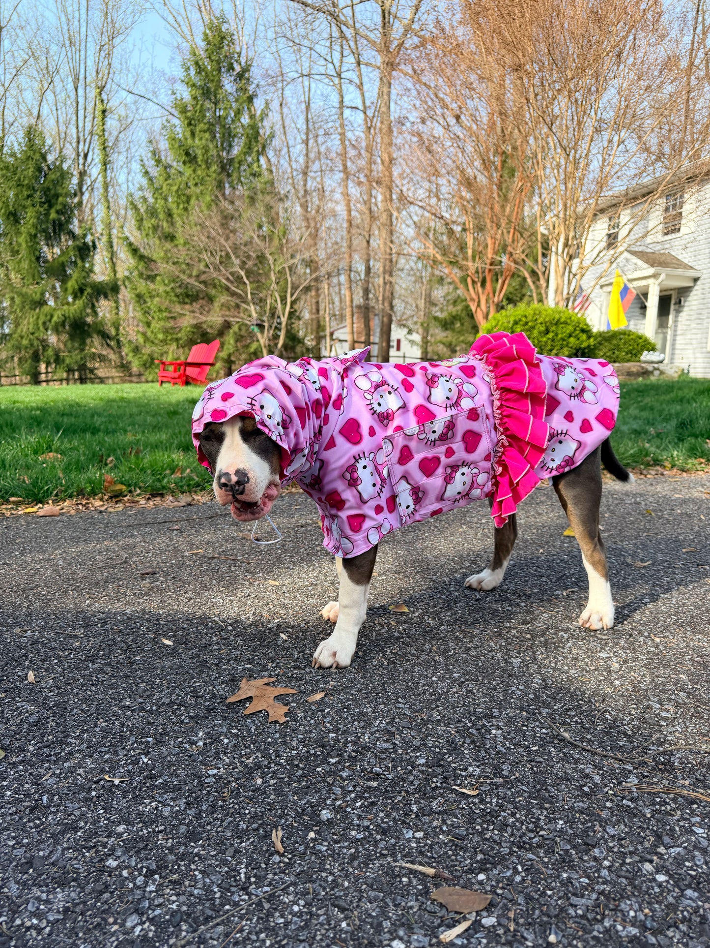 All Over Print Rain Jacket Or Cape with Hoodie And Ruffles