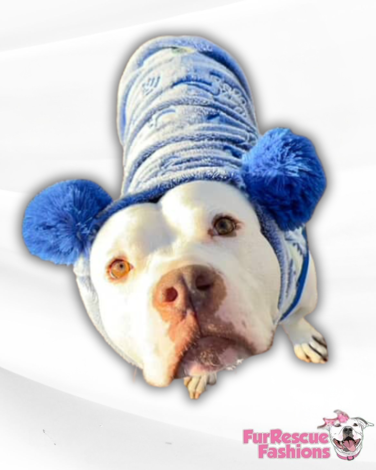 Glow-in-the-Dark Dinosaur Dog Sweater – Luxury Fleece Pom Pom Hoodie or Snood