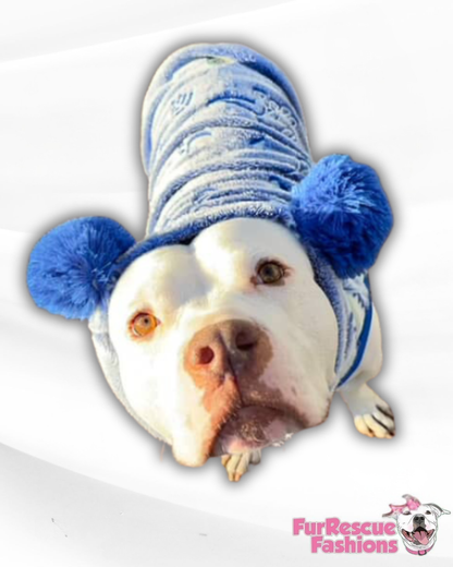 Glow-in-the-Dark Dinosaur Dog Sweater – Luxury Fleece Pom Pom Hoodie or Snood