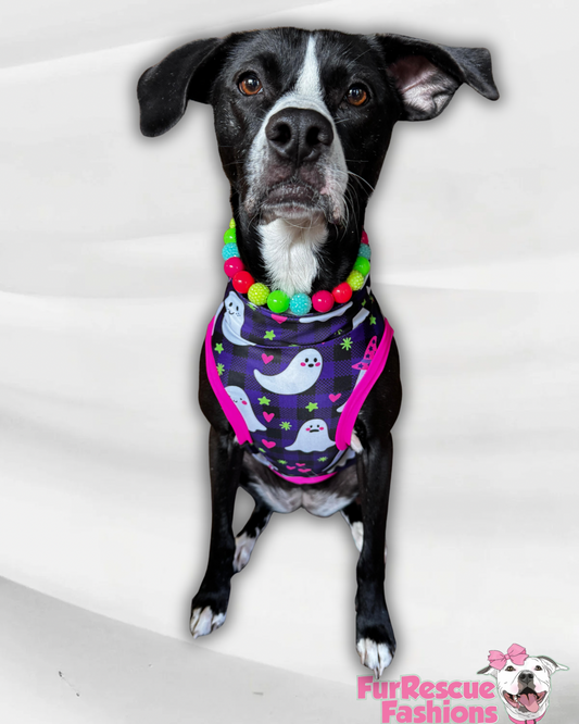 Purple Plaid Ghosts - Dog Pajama with Hot Pink Neck & Trim/Sleeves