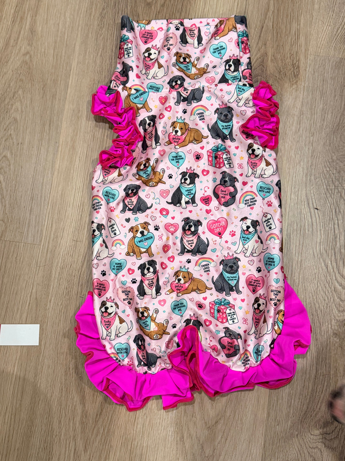 Bully Gotcha Day Pink - Dog Pajama with Aqua Neck & Trim/Sleeves
