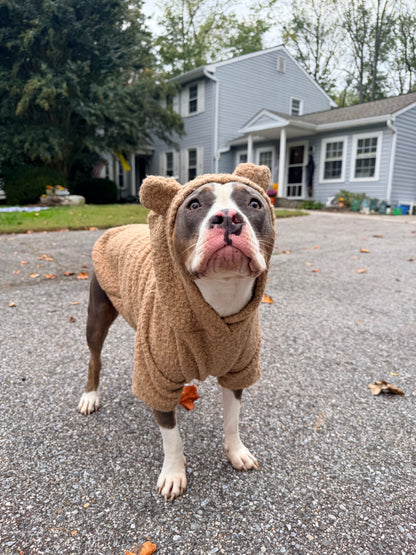 Cuddle Bear Sherpa Dog Hoodie