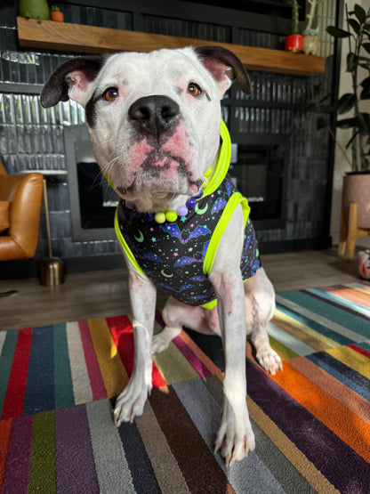 Starry Night Bats - Dog Pajama with Neon Neck & Trim/Sleeves