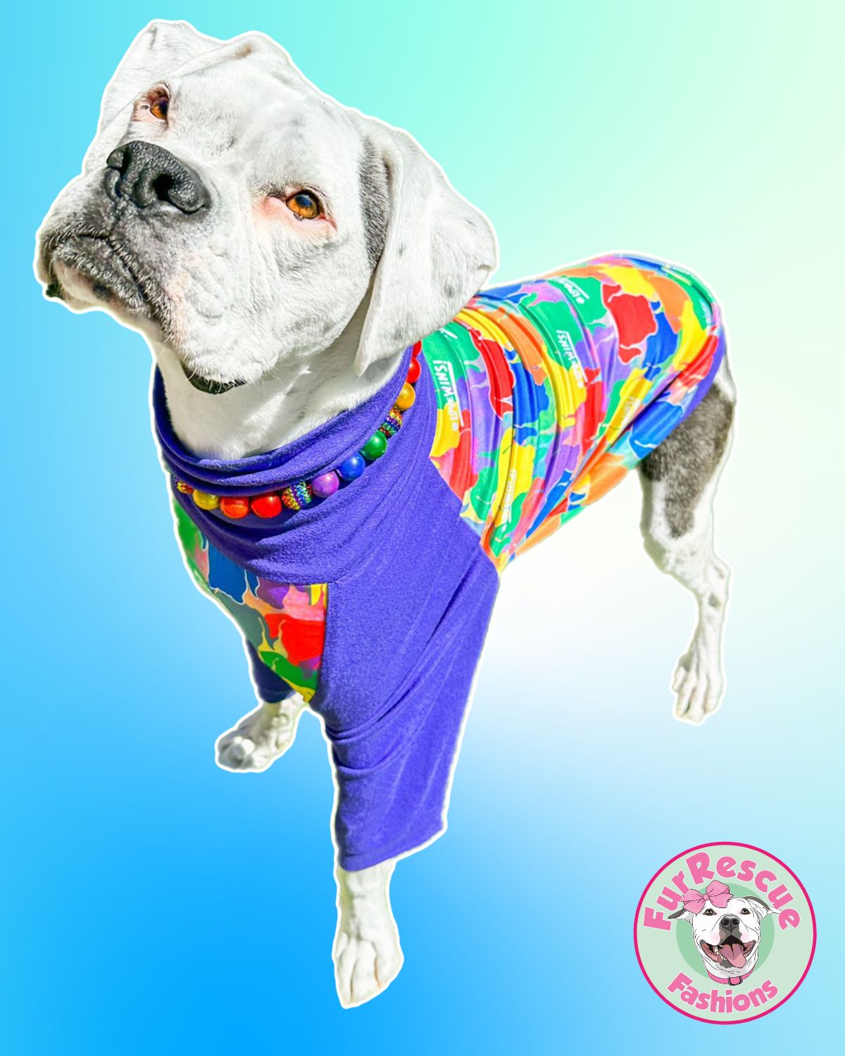 Boxer Camo Love Wins – Dog Pajama with Purple Neck & Trim/Sleeves