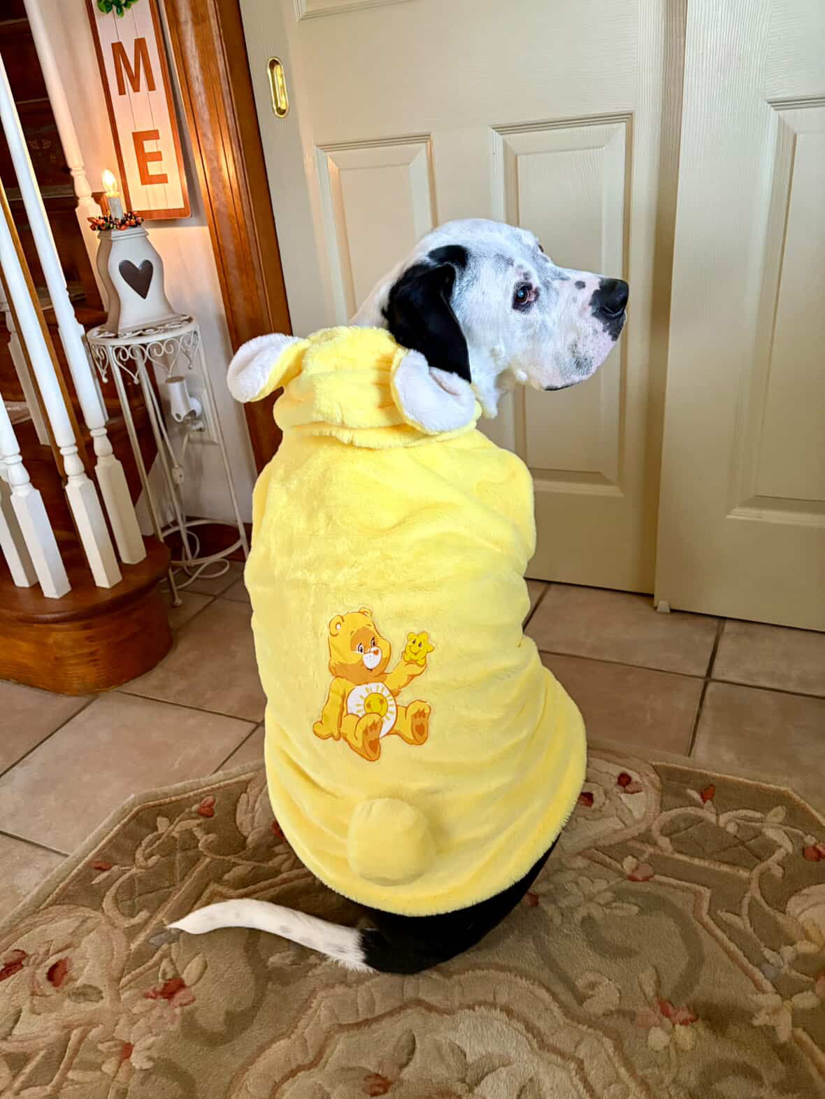 Funshine Bear Light-Up Dog Hoodie – Yellow Fleece Care Bear Outfit with Ears, Tail & Sun Patch