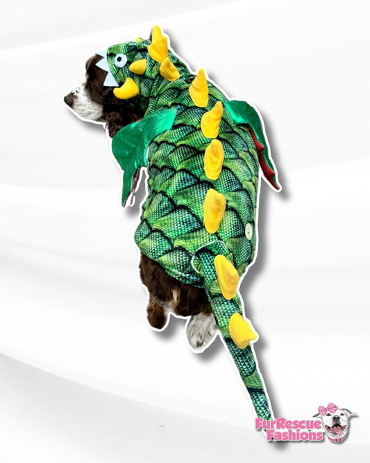 Mystic Dragon Dog Costume