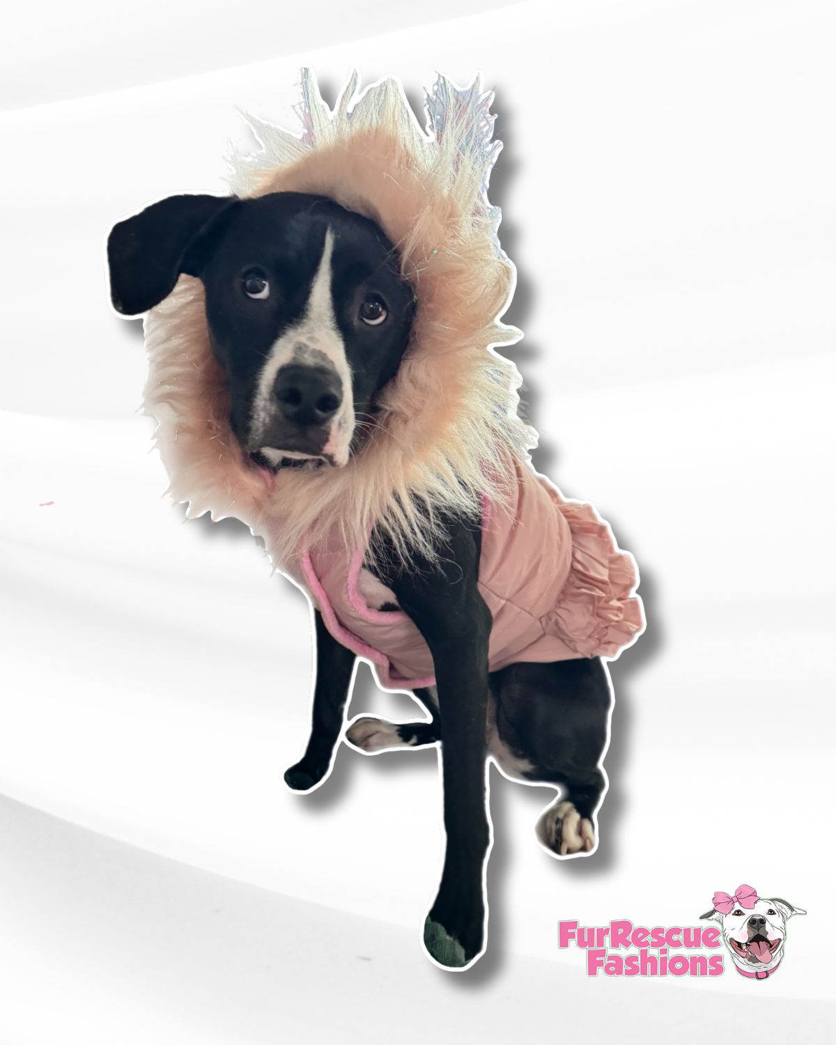 Glam Puffer Jacket, Vests and Capes with Ruffle – FurRescue Fashions