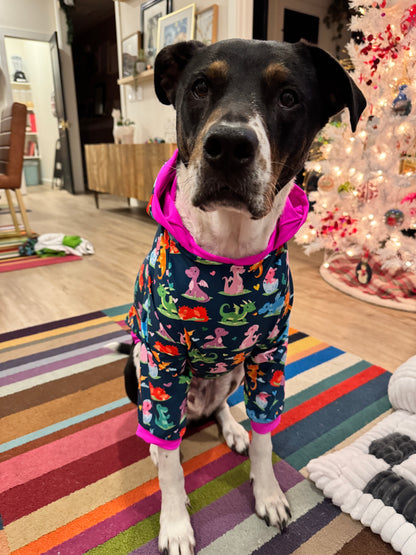 Dragon Valentine - Dog Pajama with Fuchsia OR Green Neck & Trim/Sleeves