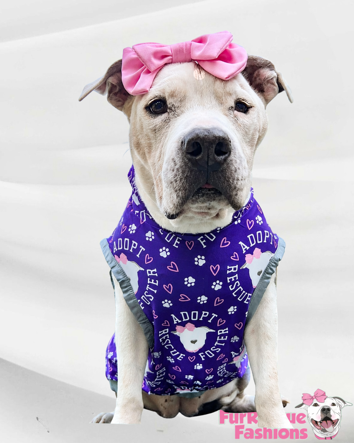 Rescue, Foster Adopt Purple - Dog Pajama with Silver or Pink Neck & Trim/Sleeves