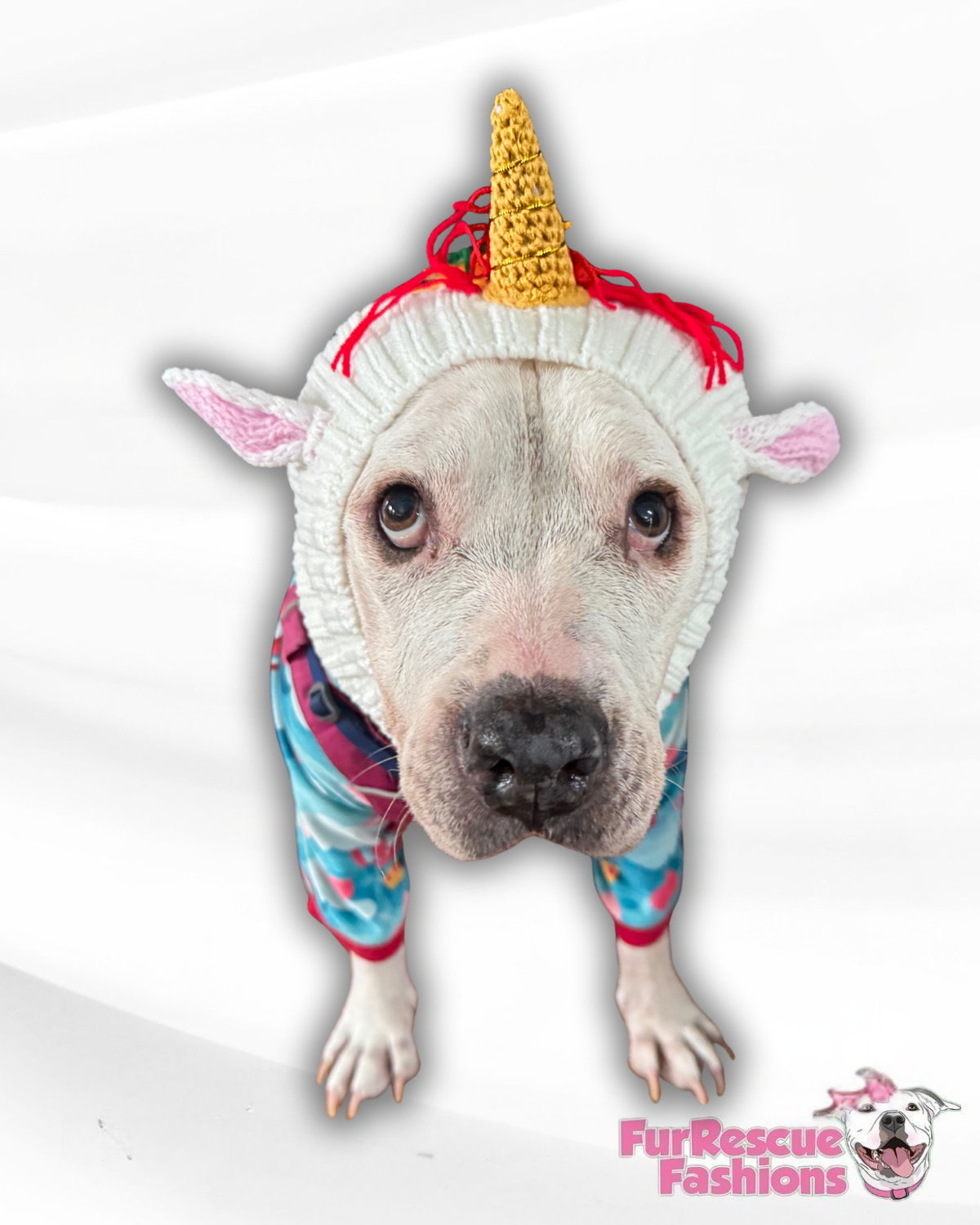 Unicorn Cozy Dog Snood