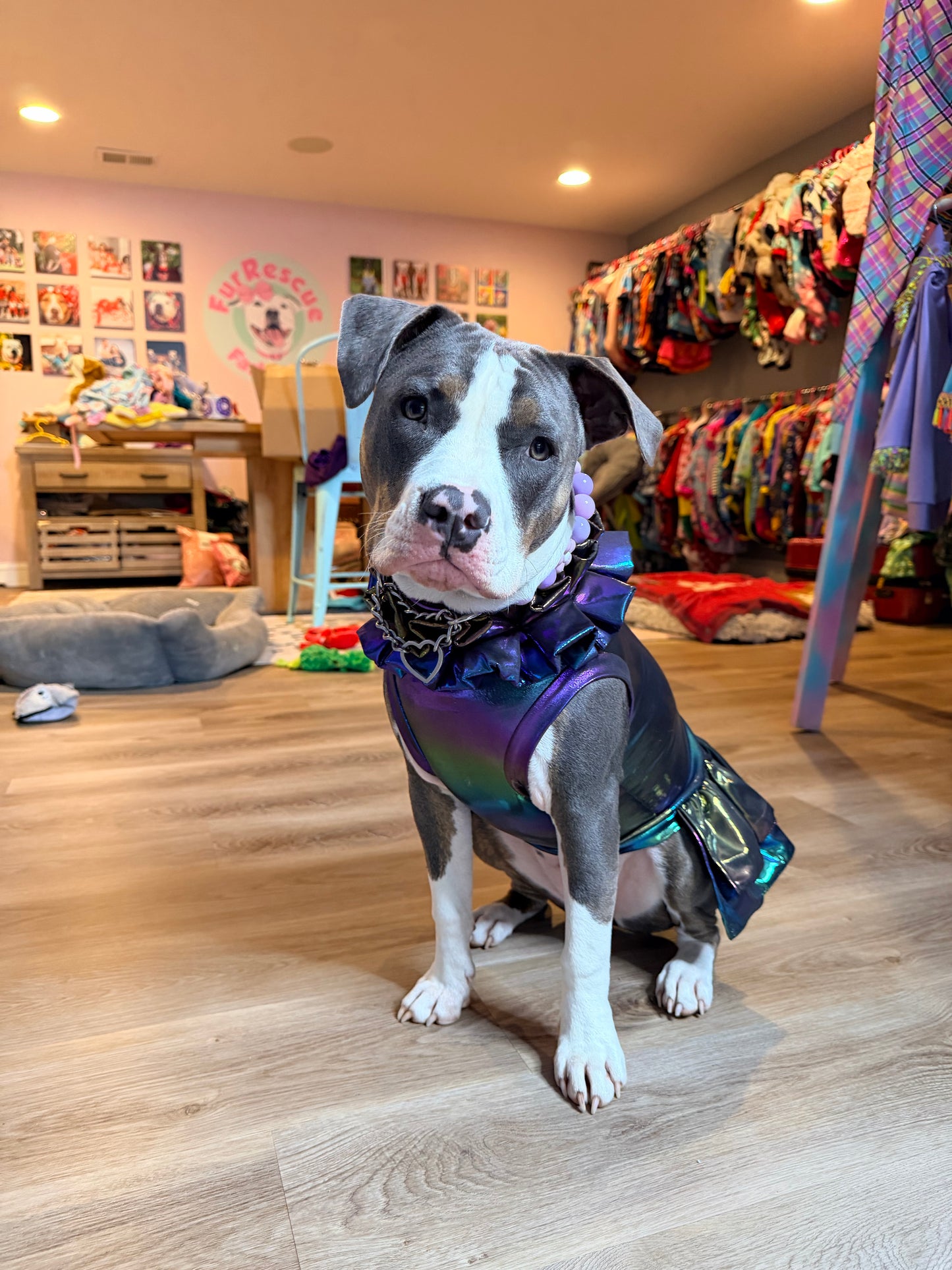 Galactic Glow Ruffle Dress
