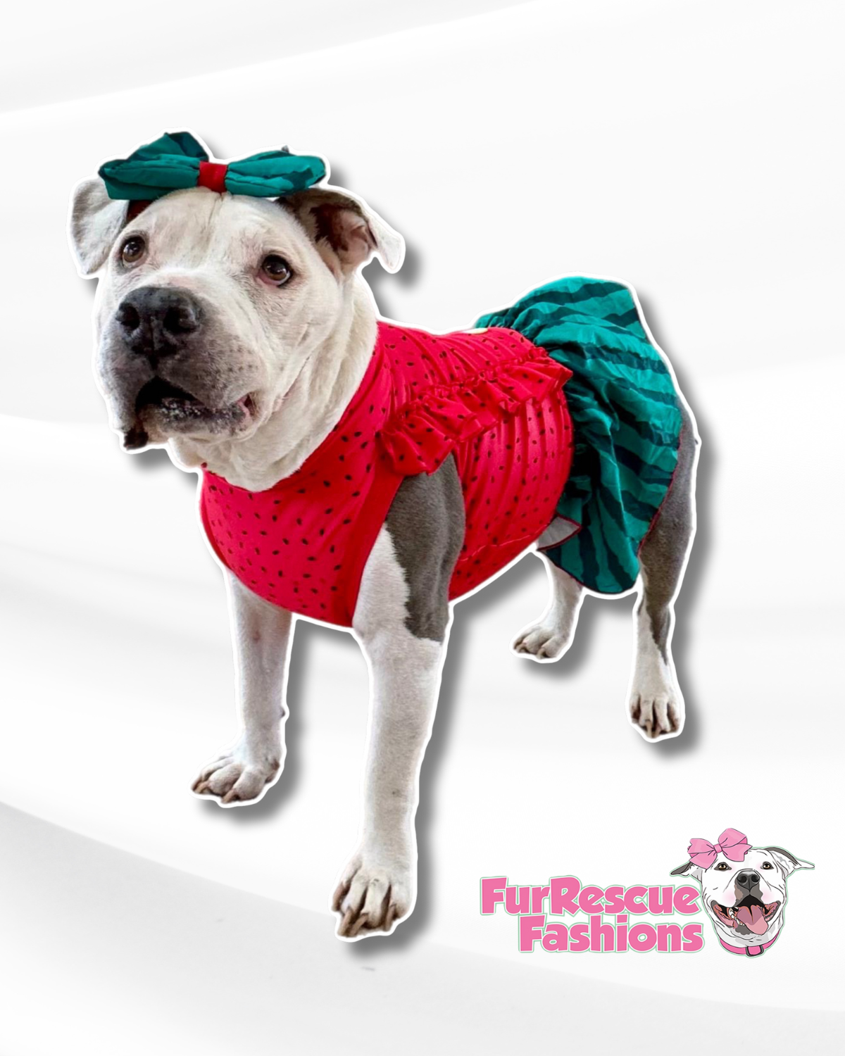 Watermelon Dog Dress With Ruffles & Bow