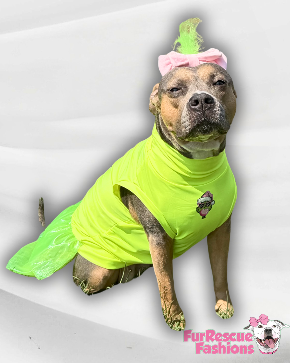 Grinch Bubblegum Dog Tutu Dress With Headband