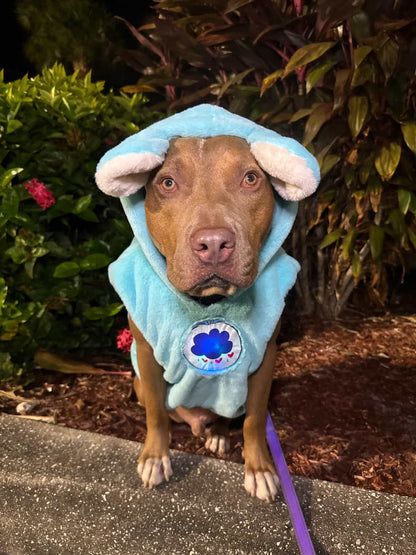 Grumpy Bear Light-Up Dog Hoodie – Luxury Blue Fleece with Ears, Tail & Heart Patch