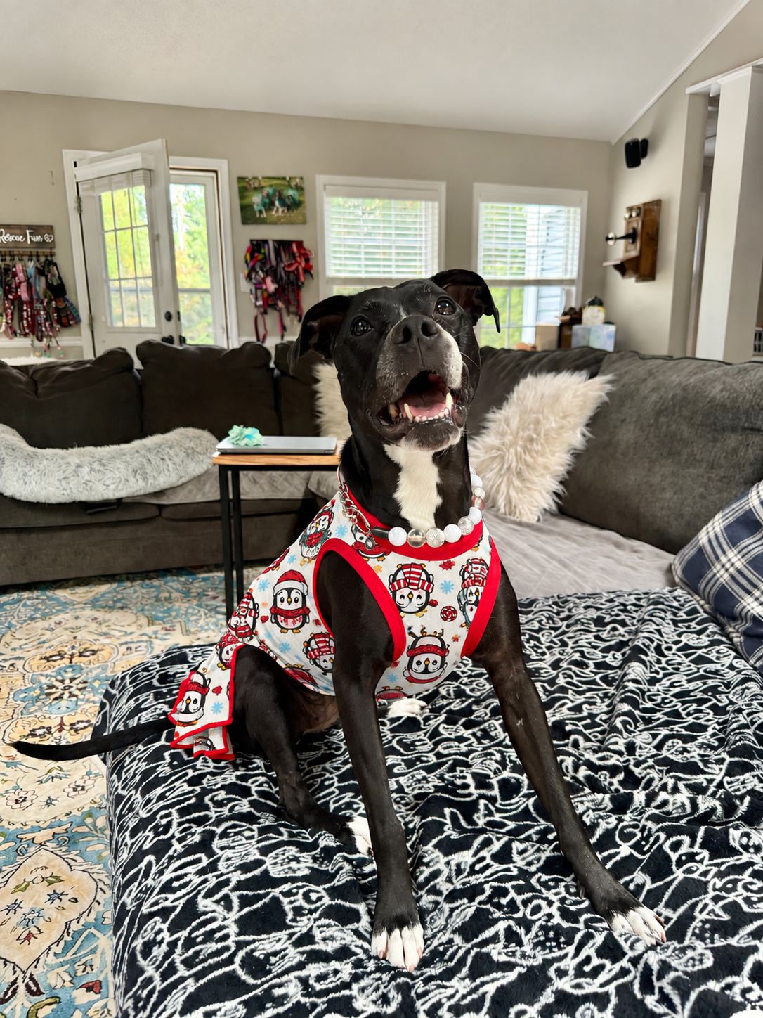 Merry Little Penguins Ultra-Luxe - Dog Pajama with Red Neck & Trim/Sleeves