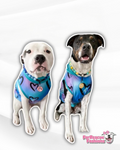 End BSL (Blue) Dog Pajama with Black Neck & Trim/Sleeves