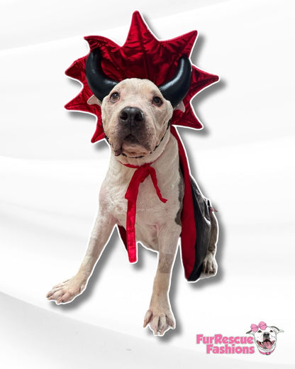 Little Devil Dapper Cape Dog Costume