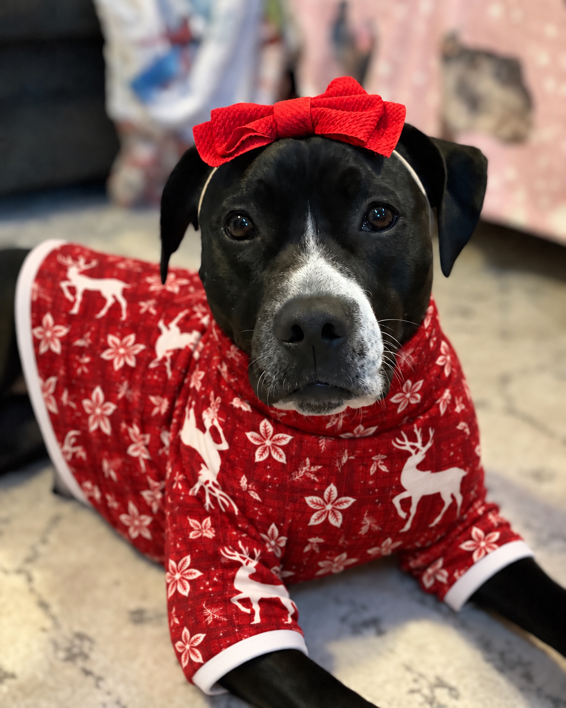 Oh, My Deer! Ultra-Luxe - Dog Pajama with White Neck & Trim/Sleeves
