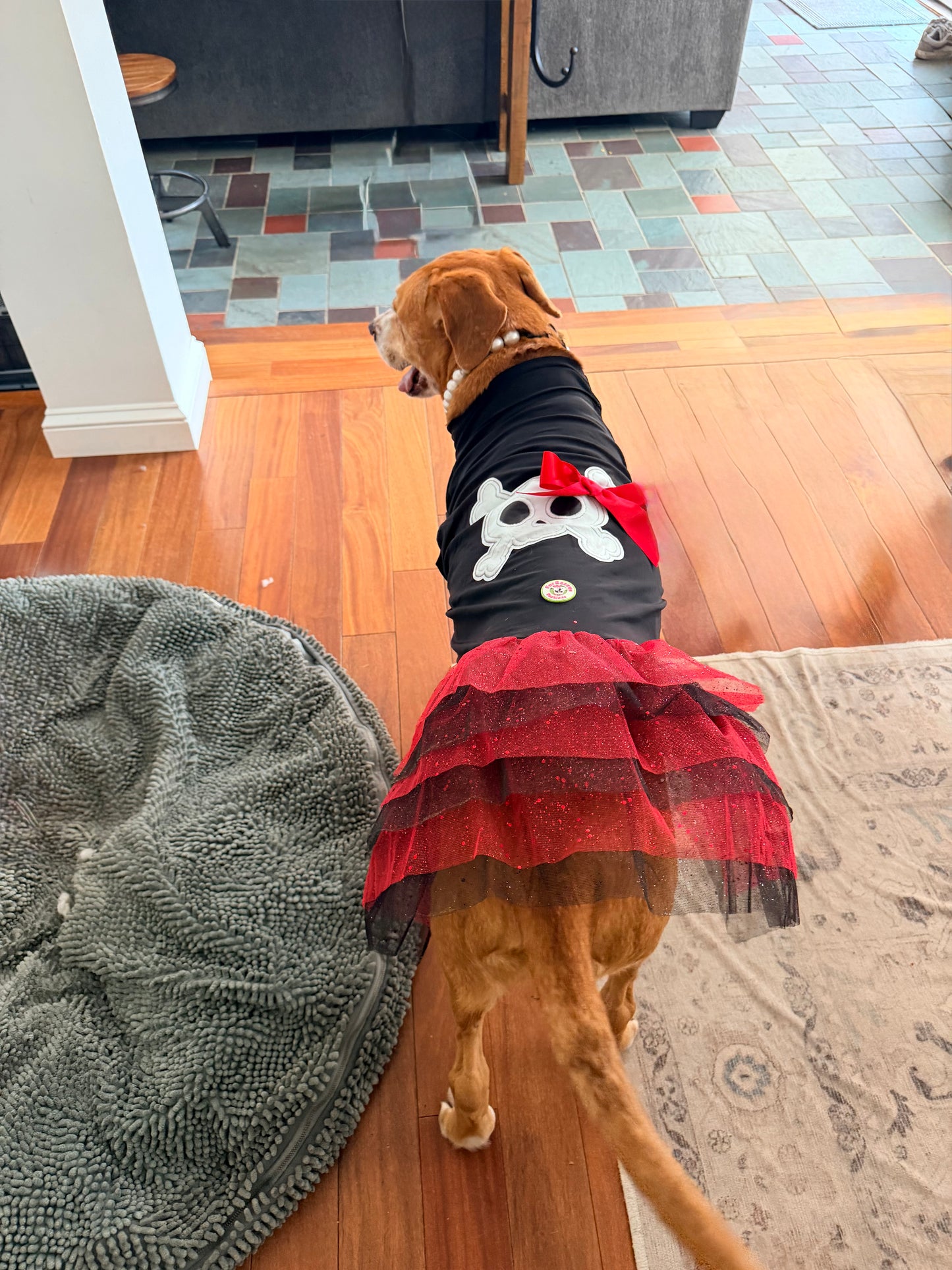 🏴‍☠️ Sassy Pawrate – Pirate Dog Tutu Dress