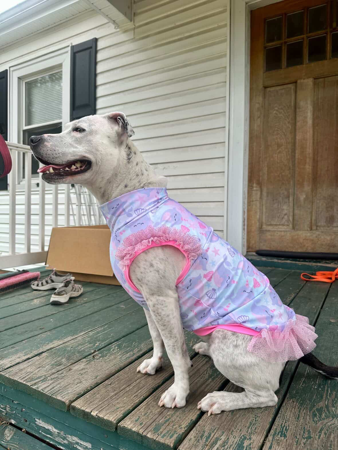 2026 Summer Dog Shirt With Tulle Accent (Available in all patterns)