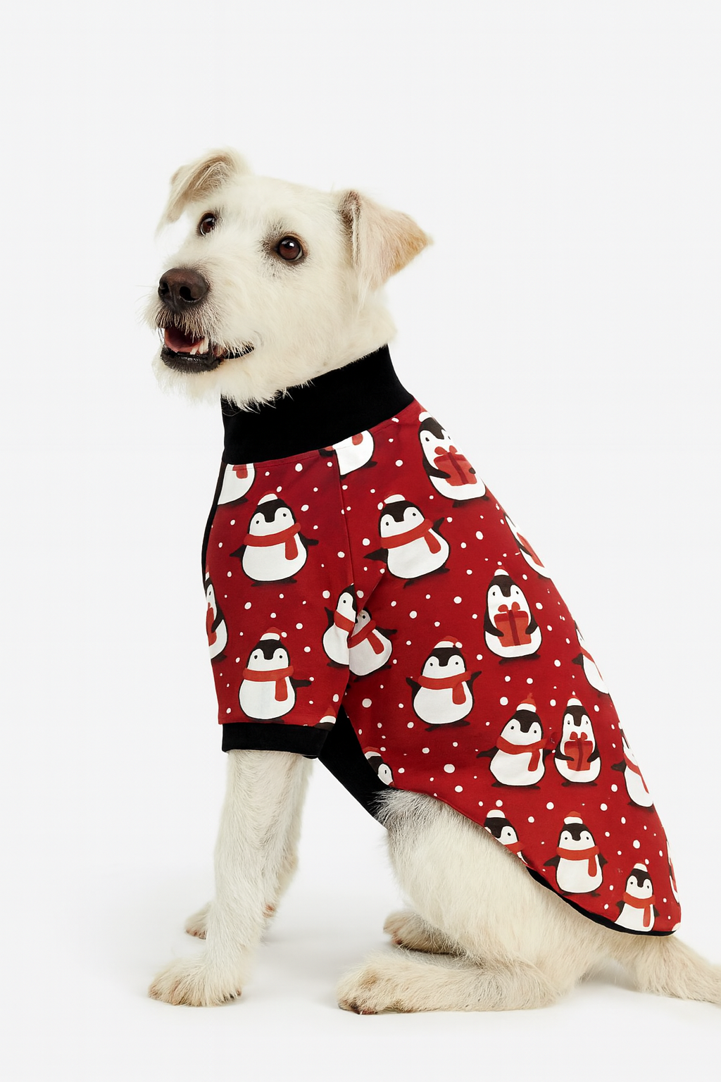 Chillin’ Like a Penguin Dog Pajama with Black Neck & Trim/Sleeves
