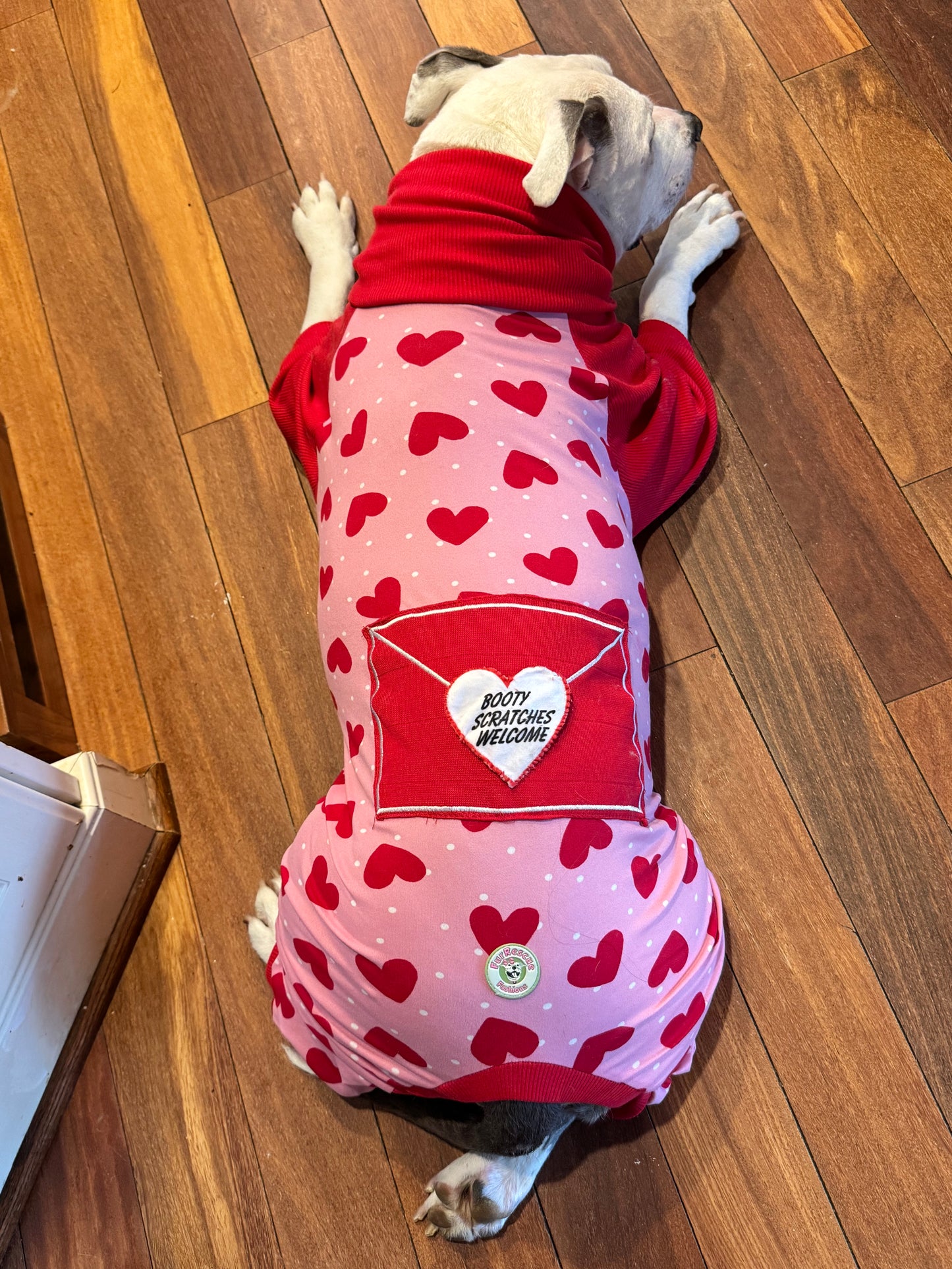 Love Letter & Polka Hearts 4 Legged PAWjamas with Turtle Neck