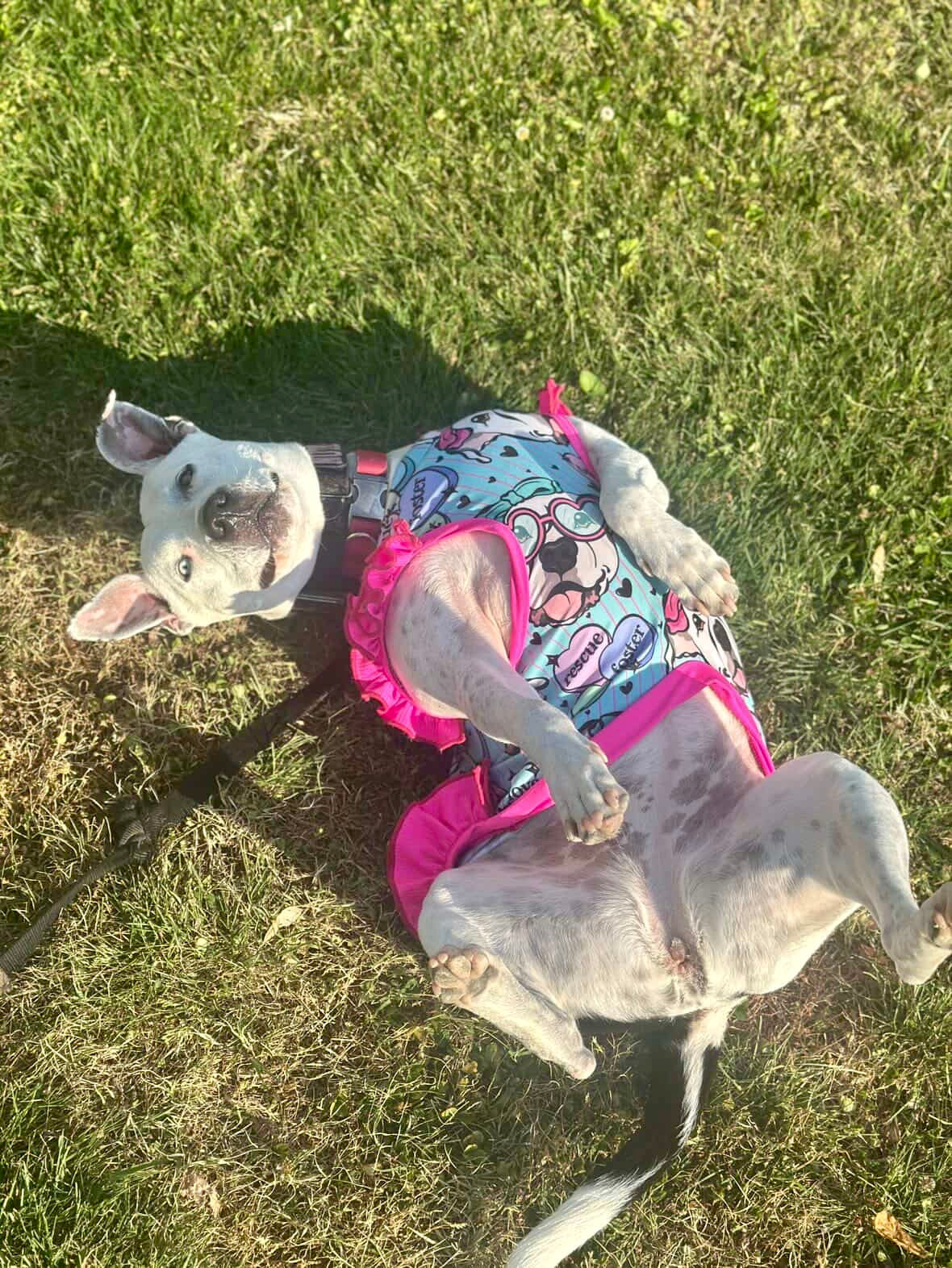 Cielo’s Legacy - Aqua Pajama with Fuchsia Neck & Trim/Sleeves