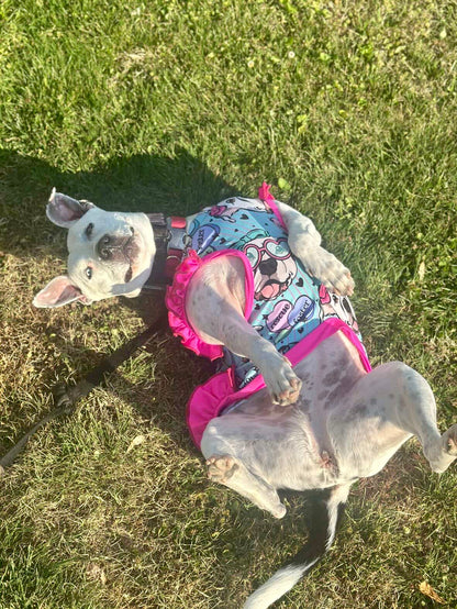 Cielo’s Legacy - Aqua Pajama with Fuchsia Neck & Trim/Sleeves