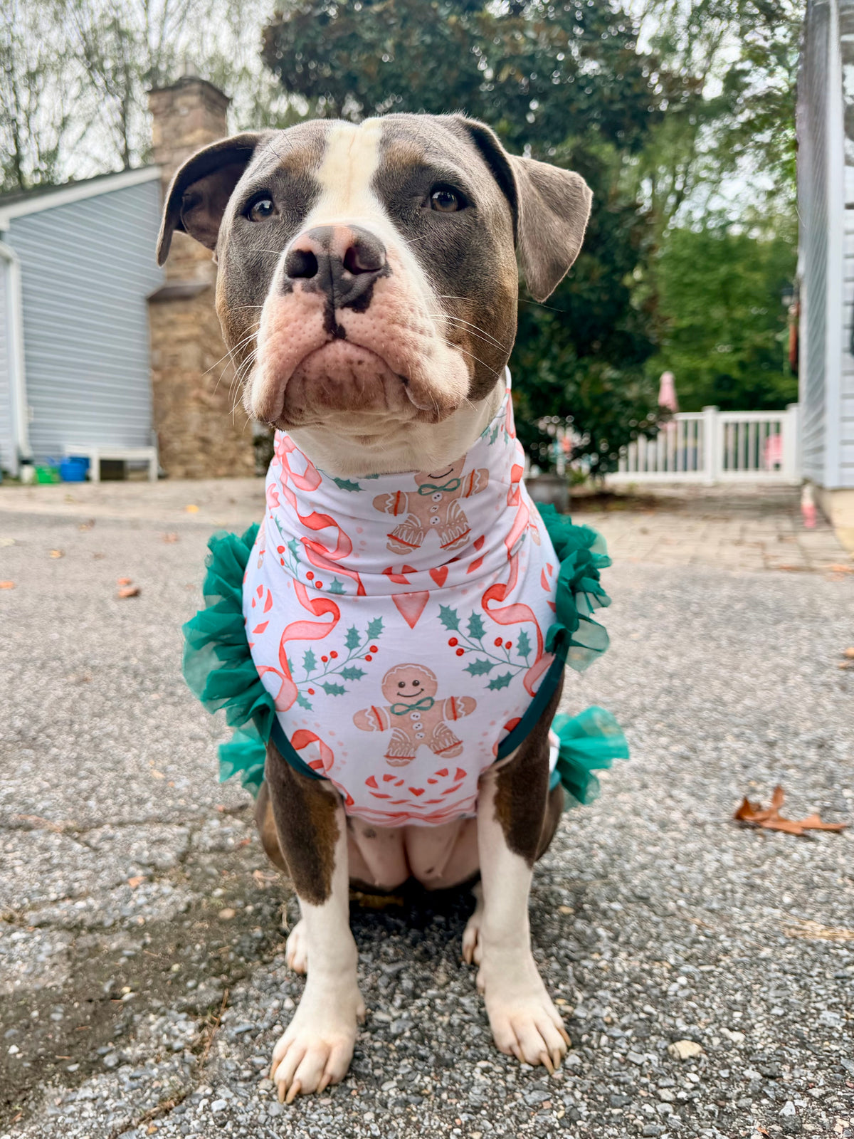 2026 Christmas Dog Shirt With Tulle Accent (Available in all patterns)