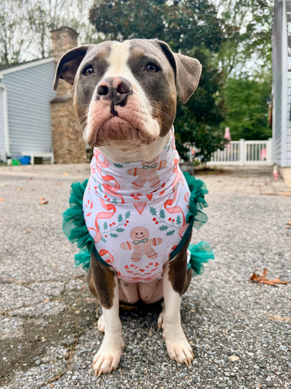 2026 Christmas Dog Shirt With Tulle Accent (Available in all patterns)