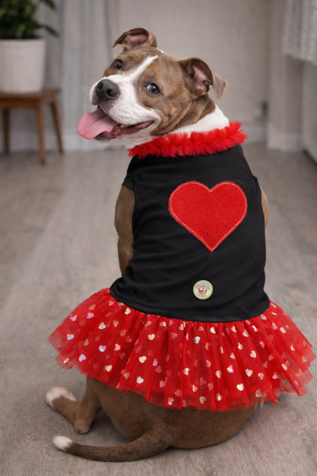 Lover girl Dog Tutu Dress (Available in 3 colors)