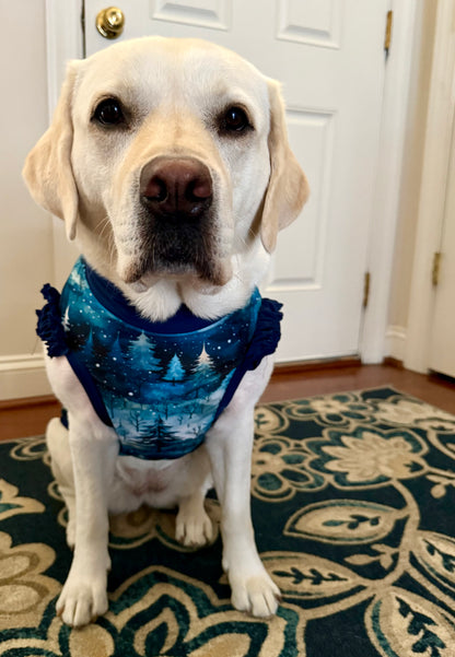 Classic Winter Vibes Dog Pajama with Navy Neck & Trim/Sleeves