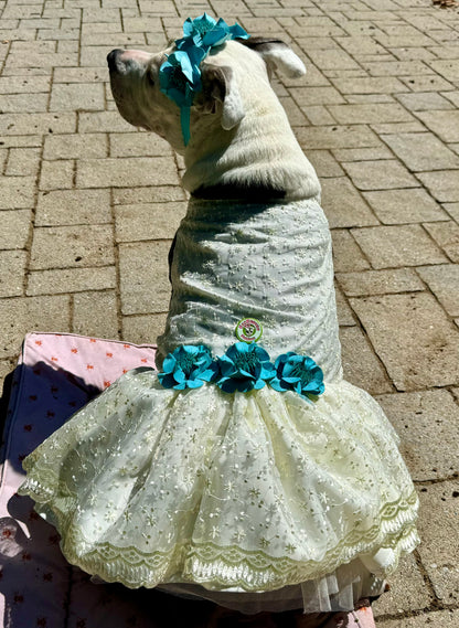 Cute Angelical Dog Dress