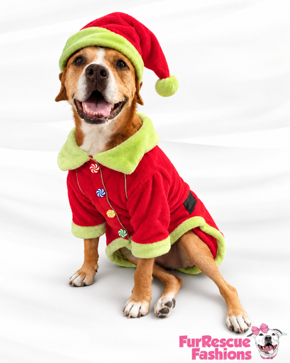 Whoville Holiday Cheer Dog Shirt & Hat ❤️💚